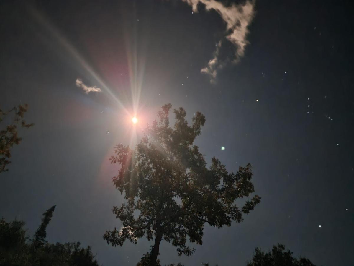 Ionian Pearl Διαμέρισμα Dhërmi Εξωτερικό φωτογραφία